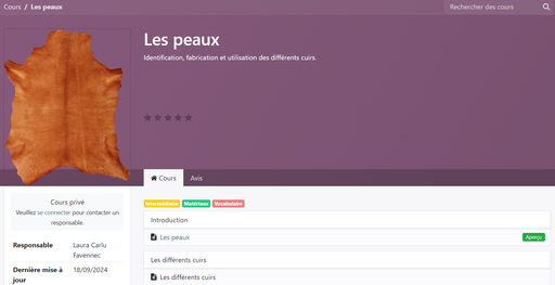Cours en ligne "Les peaux"