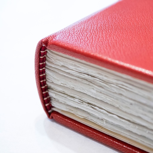 Les tranchefiles brodées